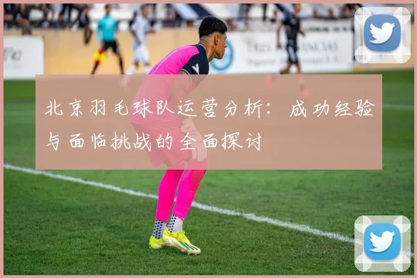 北京羽毛球队运营分析：成功经验与面临挑战的全面探讨