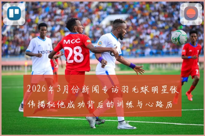 2026年3月份新闻专访羽毛球明星张伟揭秘他成功背后的训练与心路历程